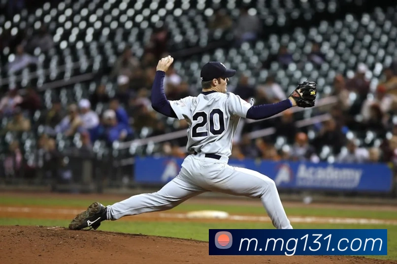 MG娱乐平台官网APP 体育赛事宣传图